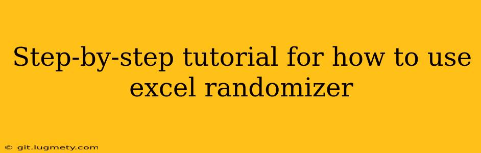 Step By Step Tutorial For How To Use Excel Randomizer